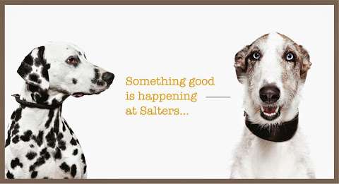 Salters Dog Food photo